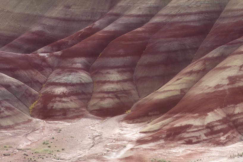 Painted Hills in the John Day Fossil Beds National Monument at Mitchell City, Wheeler County, Northe by Frank Fichtmüller