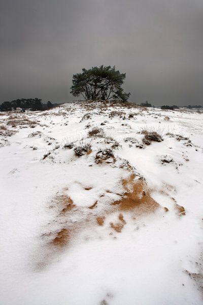 Schnee und Sand III von Mark Leeman