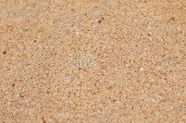 verstecktes Juwel von wim verrijp