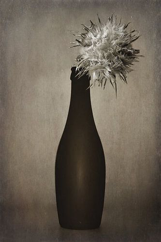 Monk loves flowers FLORVAL FLEUR D’ORVAL Nun embraces Monk