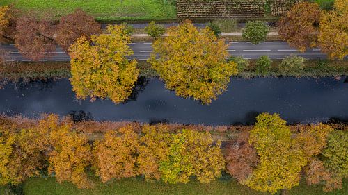 Canal aerial photo with American oak