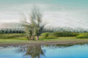 Meinerswijk partie 40