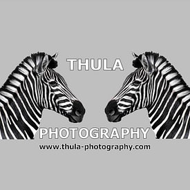 THUPHO photo de profil