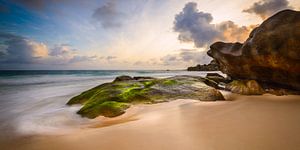 Zonsondergang in de Seychellen van Denis Feiner