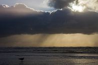 Kabbelige Wellen bei Sturm mit Sonnenuntergang von Menno van Duijn Miniaturansicht