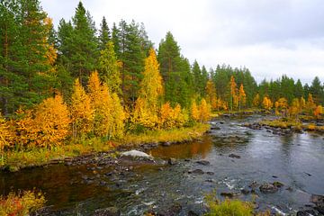 Sweden by a Body of Water in Autumn