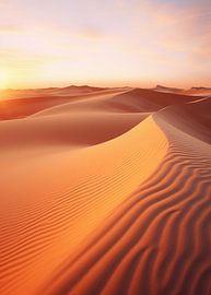 Blick über die Wüste