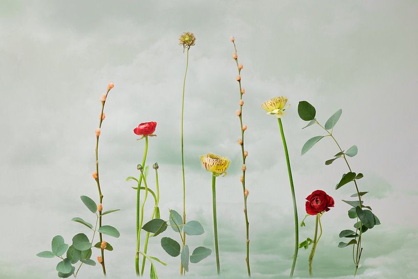 Nature morte en fleurs par Joske Kempink