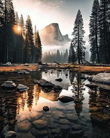 Morgenstunde im Nationalpark