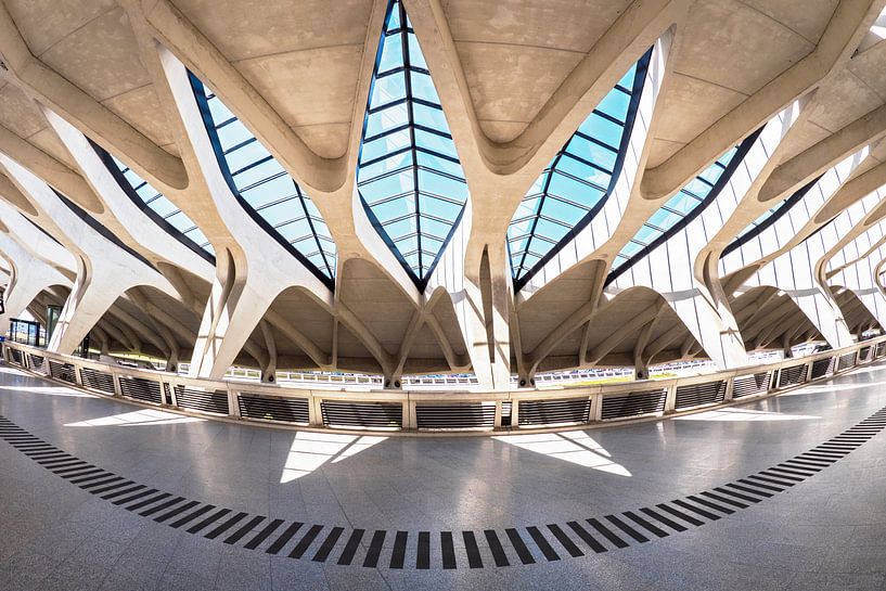 TGV station Saint Exupery by Ko Hoogesteger