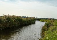 Sloot dat tussen twee landerijen stroomt in Petten (Noord-Holland)