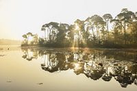 Sonnenaufgang bei der Voorste Goorven