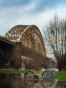 Nijmegen hoogwater #10 van Lex Schulte