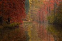 Colours of autumn