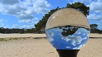 Vliegende Grove Den - Lensbal - Soester Duinen van Vinte3Sete thumbnail