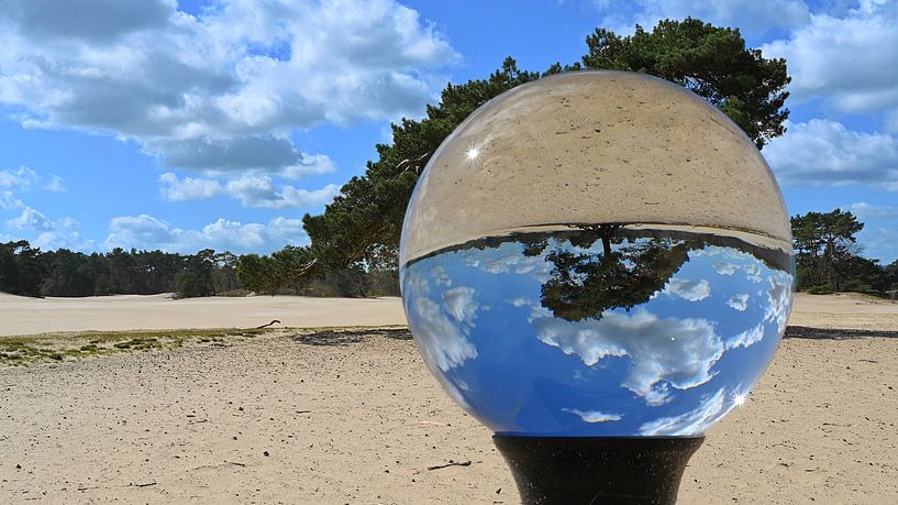 Vliegende Grove Den - Lensbal - Soester Duinen van Vinte3Sete