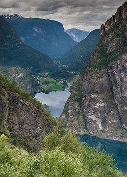 viewpoint aurland valley by ChrisWillemsen