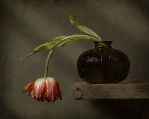 Nature morte moderne représentant une tulipe dans un petit vase