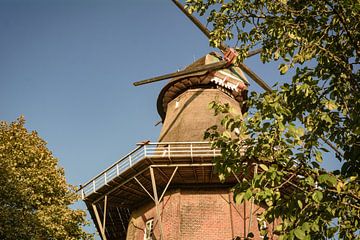De Stift-windmolen in Aurich van Edith Albuschat