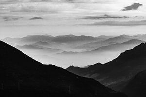 Blauer Morgen