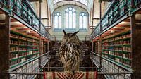 UIL - Bibliotheek Rijksmuseum Amsterdam van Hannie Kassenaar thumbnail