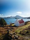 The Red Roof Cottage by Pascal Raymond Dorland thumbnail