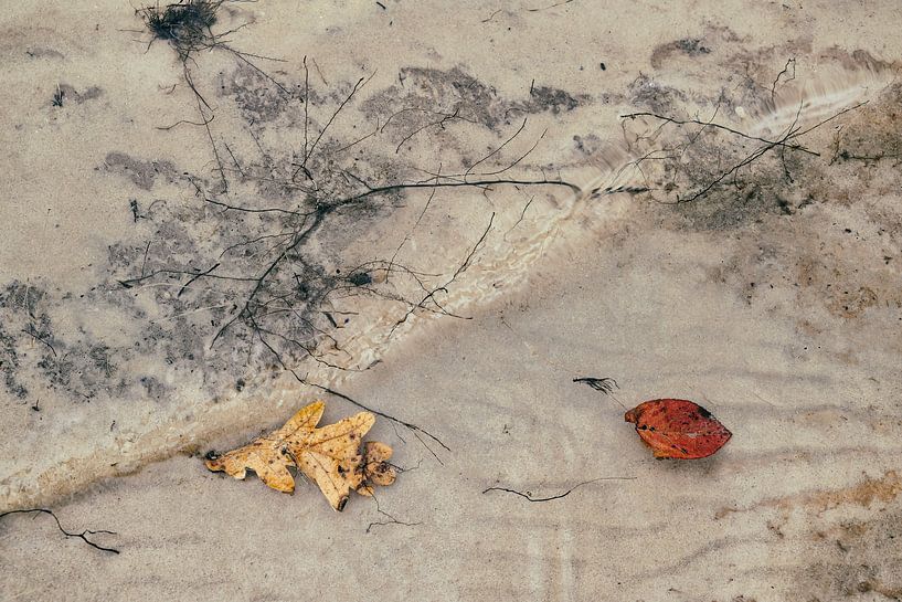 Herbst im Wasser 3 von Peter Smeekens