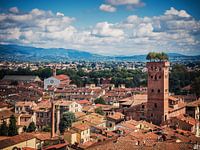 Lucca - Italy