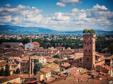 Lucca - Italien von Alexander Voss