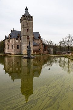Het middeleeuws kasteel van Horst van Werner Lerooy