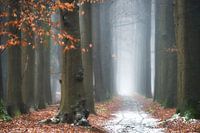 Achterhoek