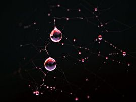 Druppels van Jessica Berendsen