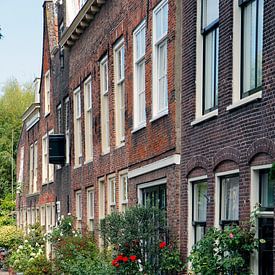 Grachtenpanden in Leiden met bloeiende planten van Carel van der Lippe