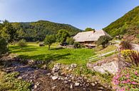 Black Forest farm near Todtnau in the Black Forest by Werner Dieterich thumbnail