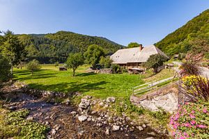 Schwarzwaldhof bei Todtnau im Schwarzwald von Werner Dieterich