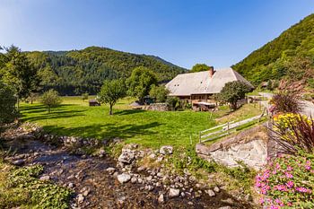 Black Forest farm near Todtnau in the Black Forest