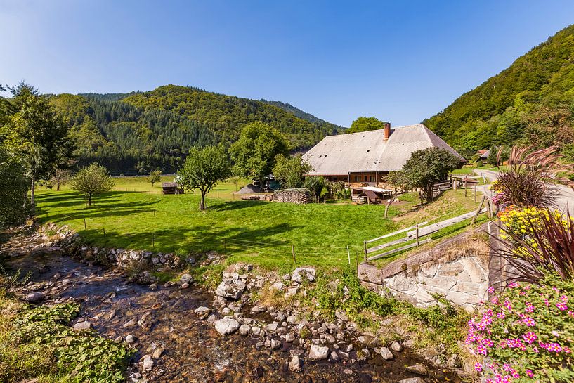 Black Forest farm near Todtnau in the Black Forest by Werner Dieterich