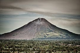 Imposant volcan conique dominant la plaine arborée sur Frank Photos
