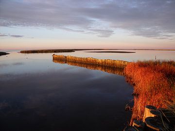 Zonsopkomst aan de Oostzee