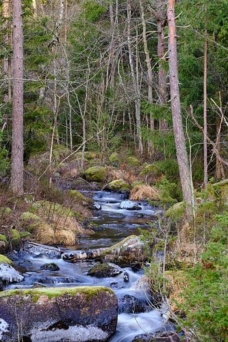 Swedish Brook 03