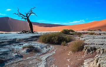 Door de zon geblakerde boom in de Deadvlei, Namibië van Rietje Bulthuis