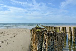 Der sauberste Strand von Jaco Verheul