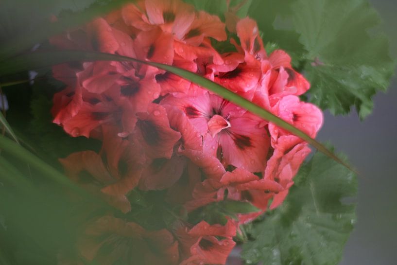 Frühlingsblumen von Marianna Pobedimova