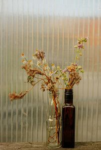 Getrocknete Wildblumen – Glasflasche & bernsteinfarbene Flasche | minimalistisches Gewächshaus‑Still