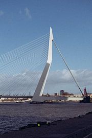 The Erasmusbrug | Rotterdam | The Netherlands Travel Photography by Dohi Media