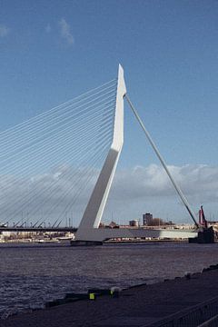De Erasmusbrug | Rotterdam | Nederland Reisfotografie van Dohi Media