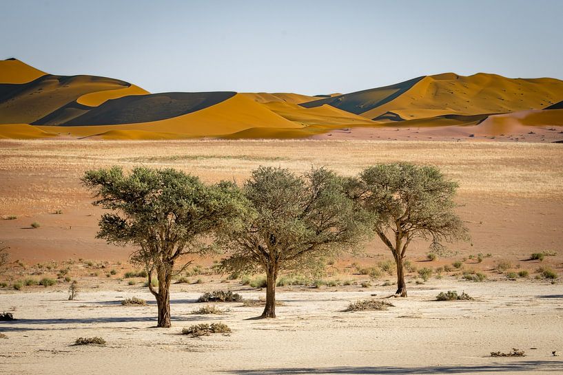 Dodevlei_9, Sesriem, Namibia by antonvanbeek.nl