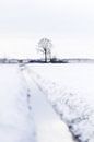 Winter wonderland | Linschoten | Pastel van Gabry Zijlstra thumbnail