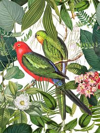 Exotic Birds In Tropical Paradise by Andrea Haase