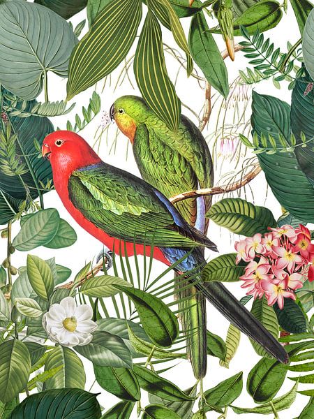 Exotic Birds In Tropical Paradise by Andrea Haase